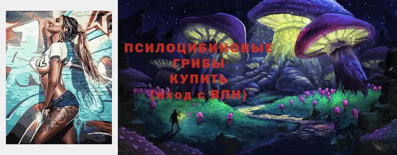 Галлюциногенные грибы Cubensis  Ардон 